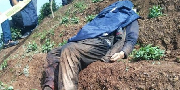 Köylüler şoke oldu! Bahçede bu halde bulundu