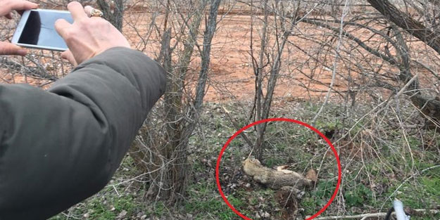 Köylüler tarafında hasta halde bulundu! Korkudan yanına kimse yaklaşamadı