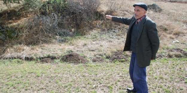 Köylülerin kabusu oldu! Korkudan evden çıkamıyorlar