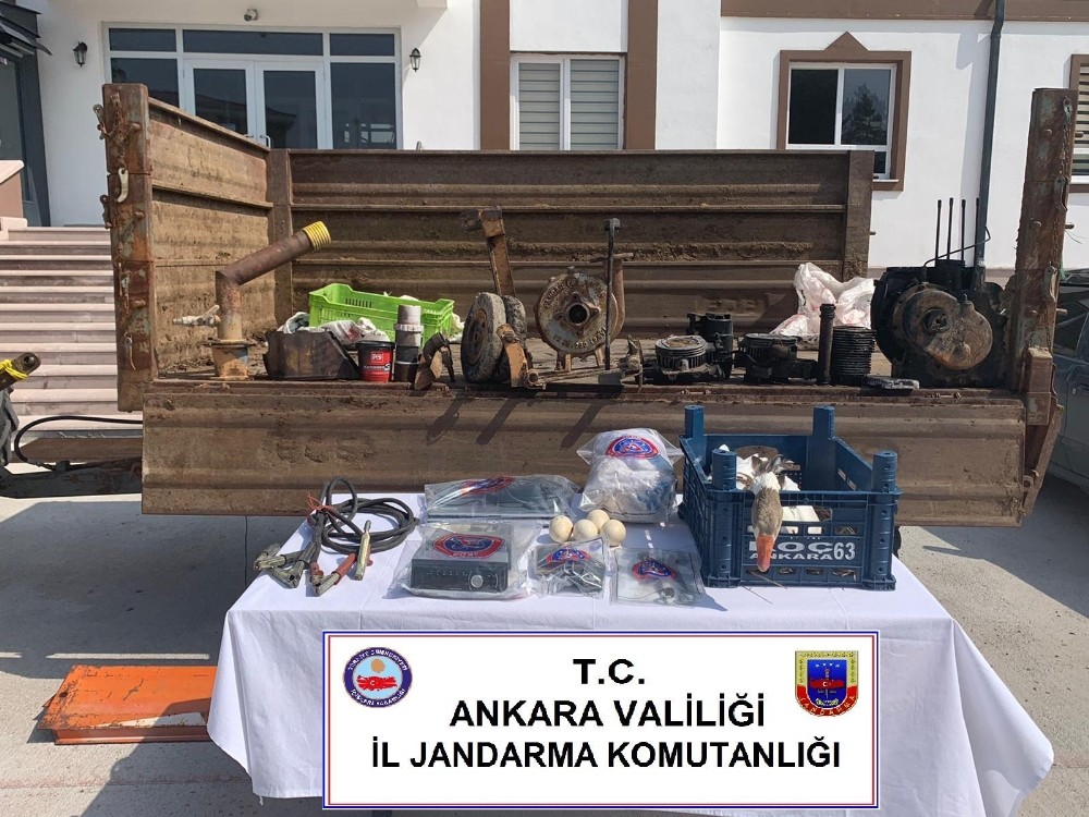 Köylünün kazını yumurtasını bile çalmışlar 