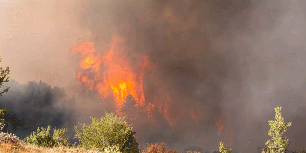 Köylünün zamanında ihbarı erken müdahaleyi sağladı