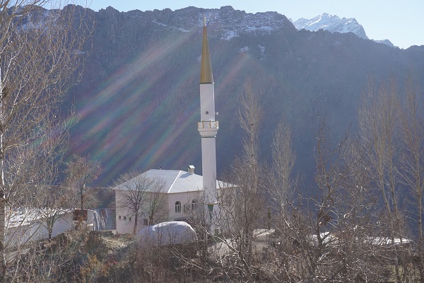 Köyü tavşanlar bastı! 24 saat ağaç başında nöbet tutuyorlar
