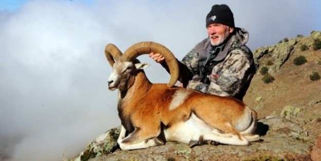 Koyun avlamak için Türkiye'ye 90 bin lira ödedi!