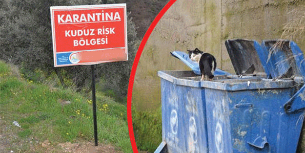 Köyün girişine bu tabela takıldı!