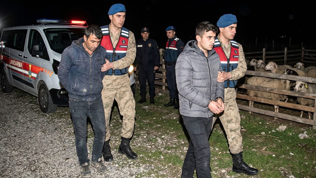 Koyun hırsızları tutuklandı, bütün ilçe rahat nefes aldı
