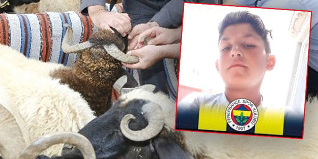Koyun kesen babasına yardım eden çocuk, korkunç şekilde can verdi