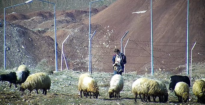 Koyun otlatırken kitap okuyan Kader'e ödül