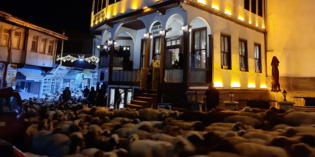 Koyun sürüsü şehir merkezinden geçti! İlginç görüntüler oluştu