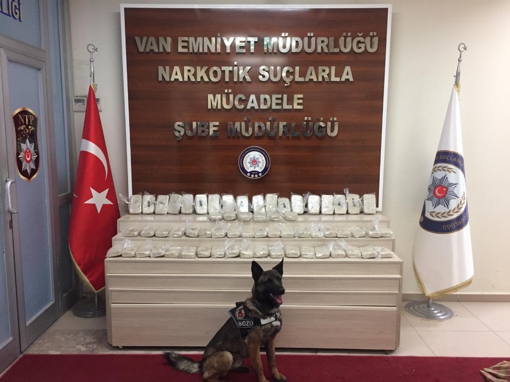 Koyun yüklü kamyonette 32 kilo eroin ele geçirildi 