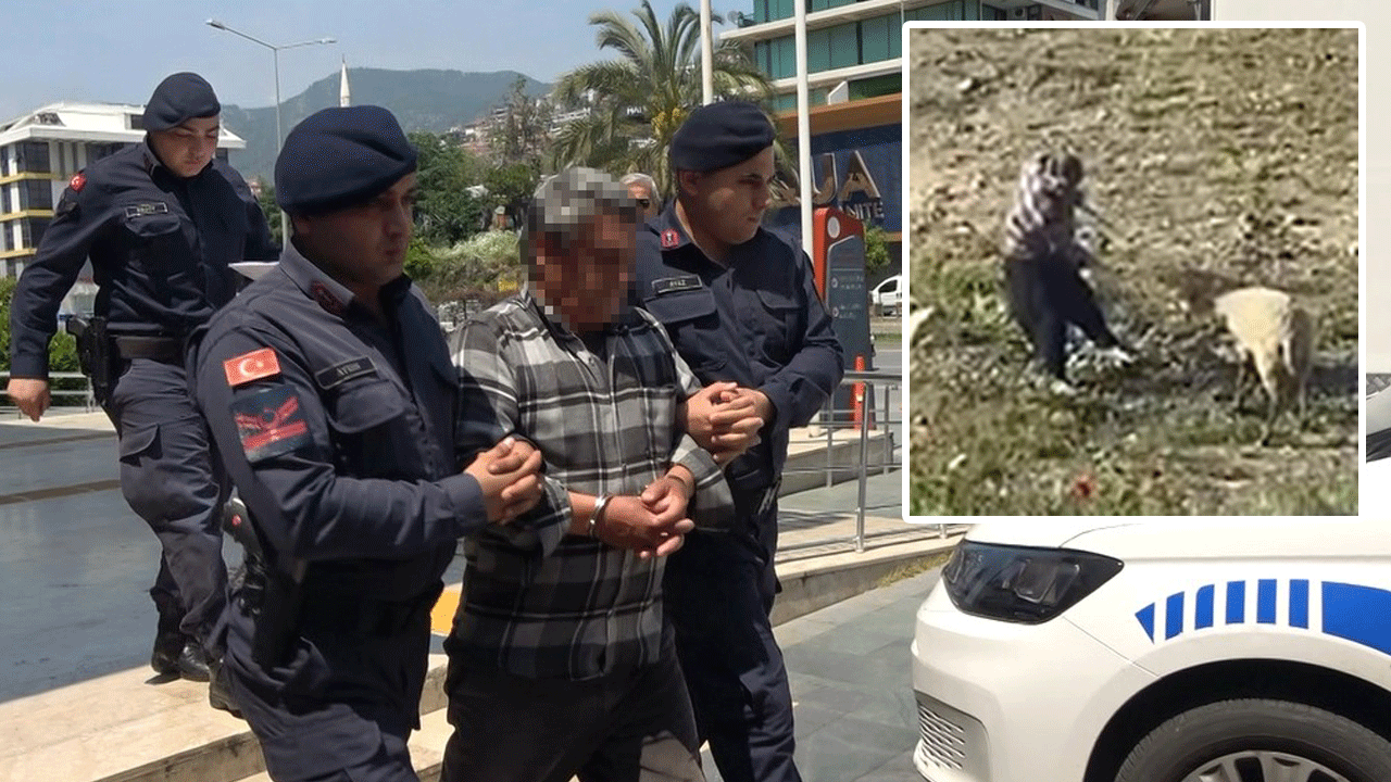 Koyuna işkence ederek Türkiye’nin öfkesini çeken adam tutuklandı