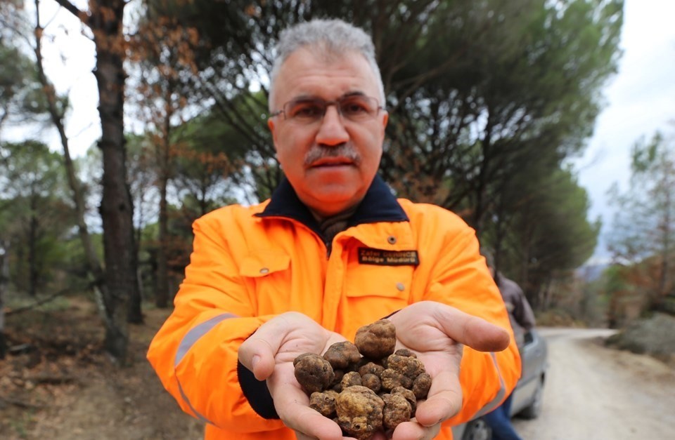 Kozak Yaylası’nda trüf keşfi 