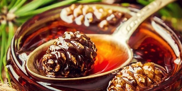 Kozalak reçeli tarifi: Öksürük ve astıma bire bir gelen kozalak reçeli nasıl yapılır?