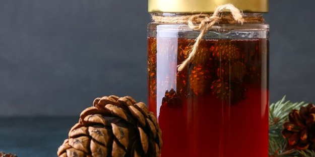 Kozalak şurubu: 3 gün yapan ardına bakmadan ilaçlardan kaçacak! Dikkat çeken detayı! Tarifine bakalım