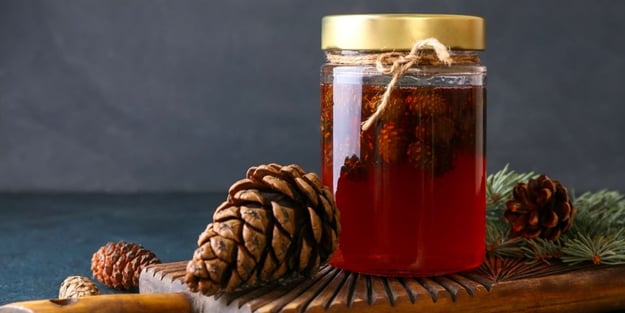 Kozalak şurubu: Etkili kür tarifi! Ne işe yarar? Faydaları nelerdir?