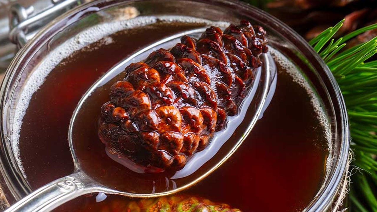 Kozalak şurubu: Her derde deva oluyor!