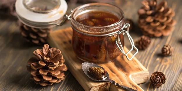  Kozalak şurubu hazırladınız mı?