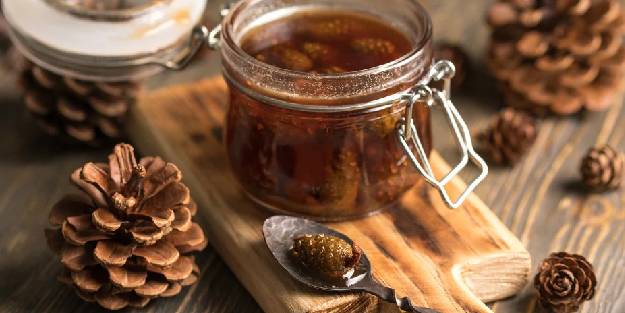 Kozalak şurubu nasıl yapılır?