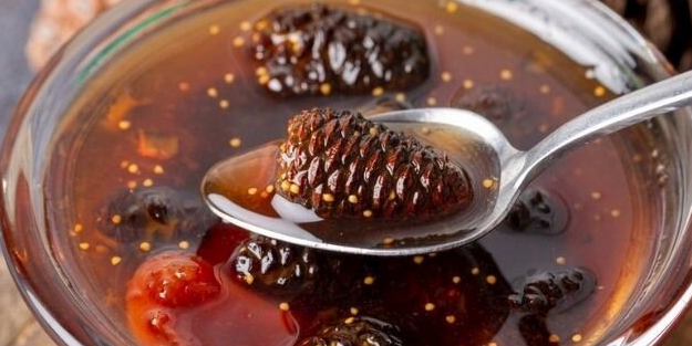 Kozalak şurubu tarifi nasıl yapılır? Çam kozalağını kaynatıp suyunu için bakın ne işe yarıyor!