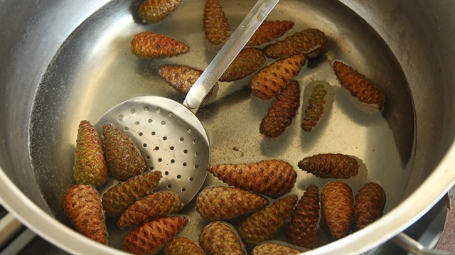 'Kozalaktan reçel olmaz' demeyin