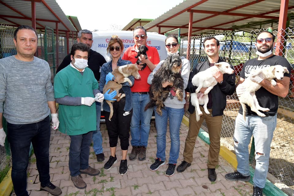 Kozan’da birbirini yiyen köpeklere Çukurova sahip çıktı Yeni Akit