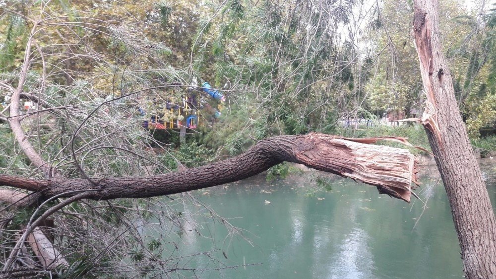 Kozan'da fırtına ağaçları devirdi - Yeni Akit