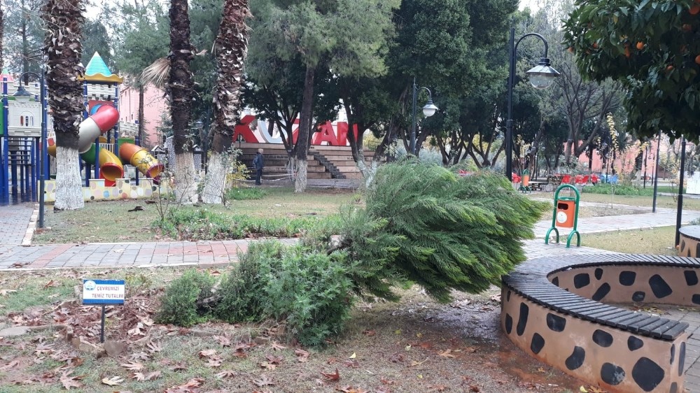 Kozan’da şiddetli yağmur ve fırtına ağaçları devirdi 