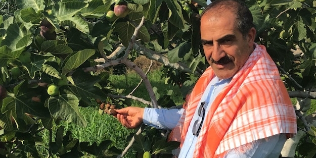 Kraliyet ailesinin gözdesi! Tarih belli oldu
