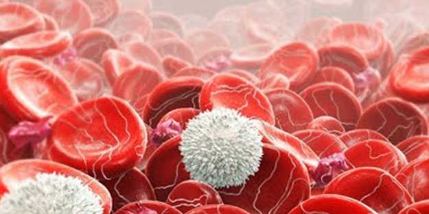 “Kraliyet Hastalığı