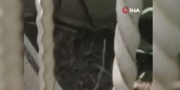 Kreşte yılan paniği! Korkutan anlar böyle kaydedildi