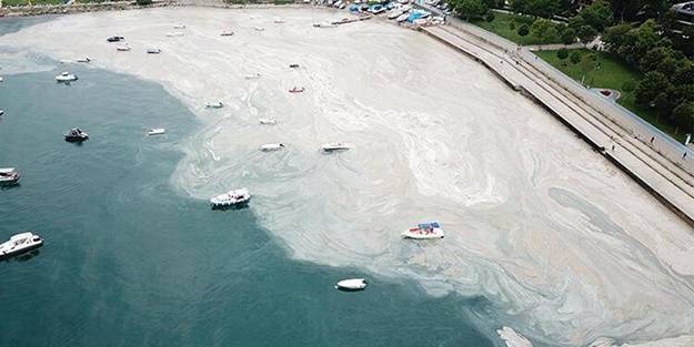 Kritik ikaz: Müsilajı ortaya çıkarabilir