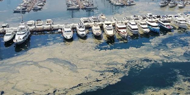 Kritik uyarı: Marmara Denizi artık bu yükü taşıyamıyor