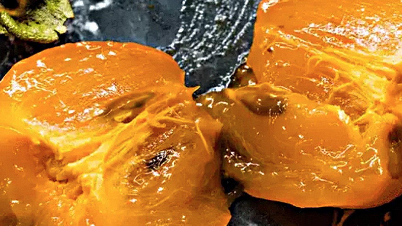 Kritik uyarı yapıldı: Cennet hurmasını yıllardır yanlış yediğimizi biliyor musunuz?