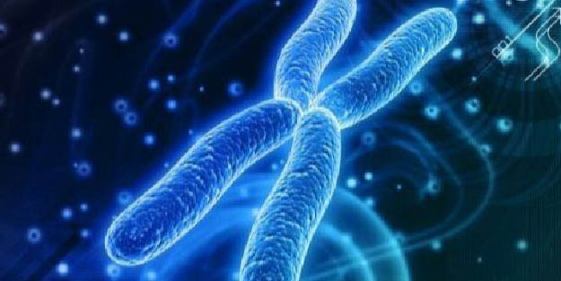 Kromozom bozukluğunu genetik tarama testiyle teşhis etmek mümkün