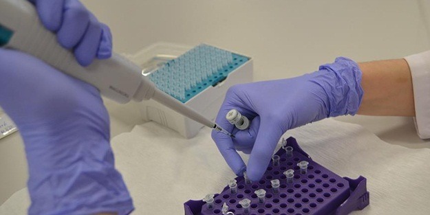 Kromozomların yüzde 53-70'i DNA'lardan oluşuyor