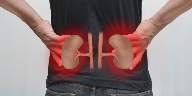 Kronik böbrek yetmezliği nedir?