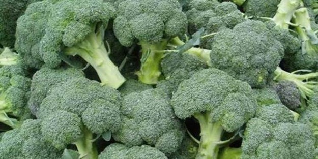 Kronik hastalar dikkat! Suyunda bile şifa var