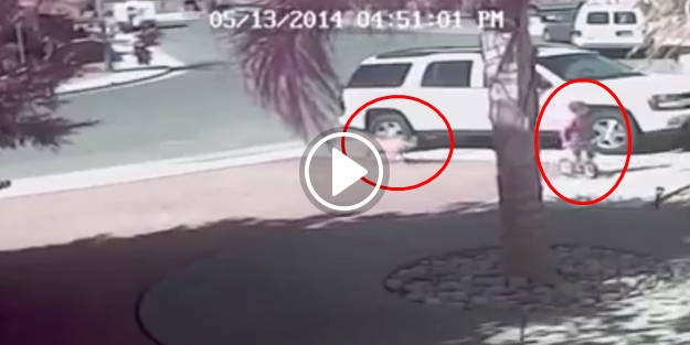 Küçük çocuğu pitbul saldırısından kedi kurtarıyor!