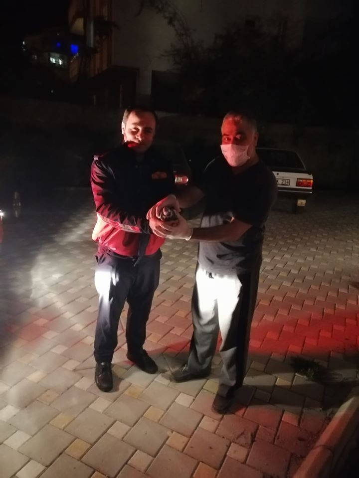 Küçük Dila’nın dikkati, aç kalan güvercini ölümden kurtardı 
