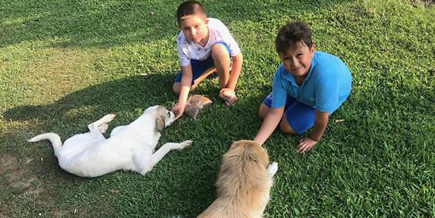 Küçük hayvanseverlerden büyük davranış