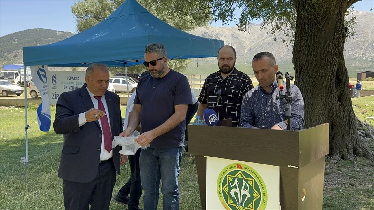 Küçükbaş hayvan yetiştiricilerine çoban köpeği dağıtıldı