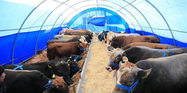 Küçükçekmece kurban kesim alanları 2021 Küçükçekmece kurban kesim yerleri