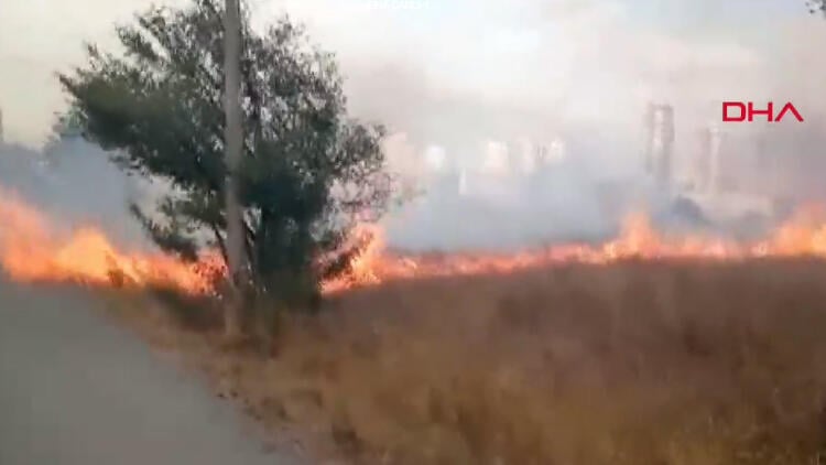 Küçükçekmece'de korkutan yangın