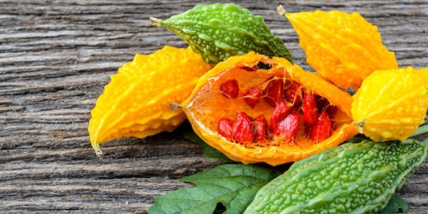 Kudret narının faydaları saymakla bitmiyor !Vücuttaki kirli kanı temizliyor! Kronik hastalıkları önlüyor