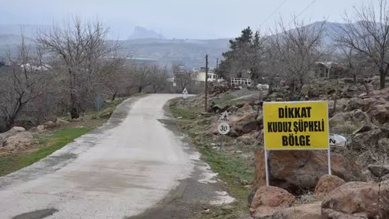 Kuduz alarmı: Şanlıurfa'da 3 kişiyi ısıran köpek kuduz çıktı! Köy karantinada