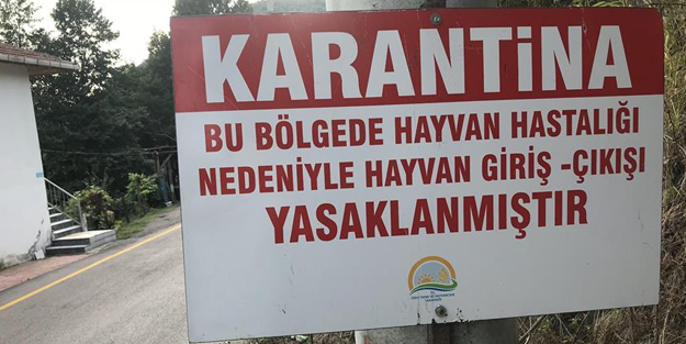 Kuduz risk bölgesi:Hatay'da bir mahalle kuduz karantinasına alındı!