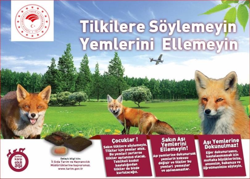 Kuduza karşı yaban hayvanlarına havadan aşılama 
