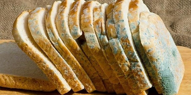 Küflenmiş besinler kansere neden oluyor