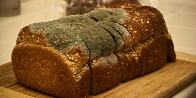Küflenmiş ekmek kanser yapıyor!