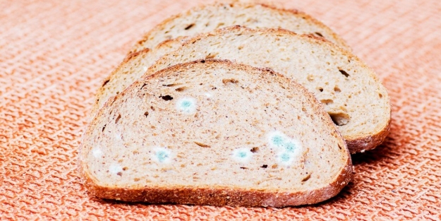 Küflü ekmek zehirler mi?