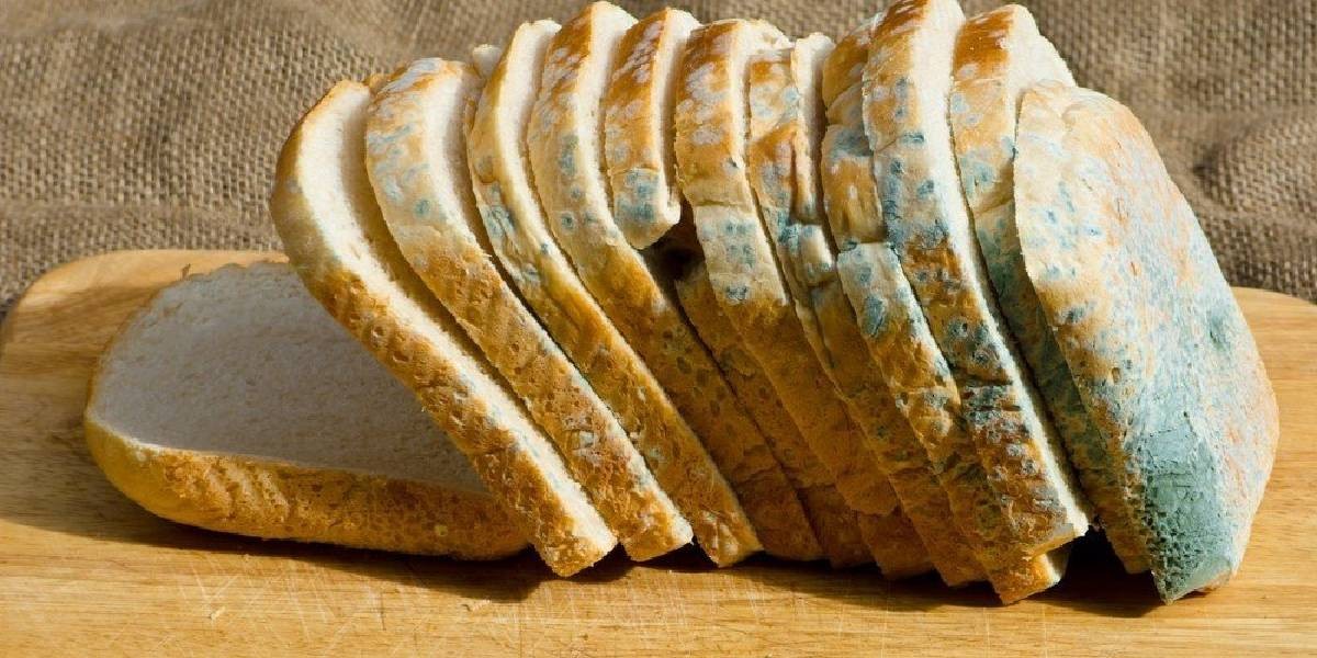 Küflü ekmeklere artık son! İçerisine bir tane atan, bir hafta tazecik yiyor! Herkes yeni alınmış zannediyor! Şok bilgi ortaya çıktı